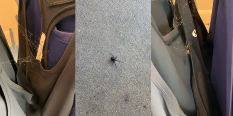 Vídeo viral no TikTok alerta para a lavagem de roupa nova antes da sua utilização