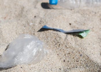 Ações de limpeza costeira recolhem 37 toneladas de lixo em Portugal