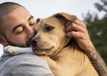 Estudo comprova: Donos de cães gostam mais do seu animal do que de outras pessoas