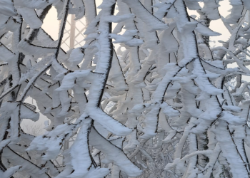 Já neva em Portugal: Vejas as imagens do Norte coberto de neve
