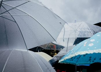 Conheça as previsões do tempo para a primeira semana de dezembro