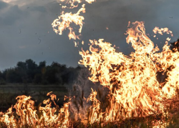 Homem acusado de 14 crimes de fogo posto na região oeste