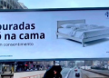 “Touradas só na cama”: Cartaz do PAN dá que falar na internet