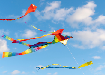 7º Festival Ibérico de Papagaios volta a Torres Vedras