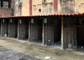 Um canil municipal vazio: O feito notável de uma associação de resgate animal madeirense