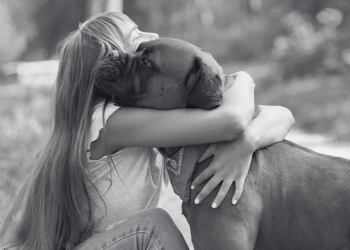 Biólogo acredita que é possível animais falecidos voltarem a visitar os donos