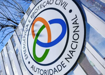 Vídeo: Queda de aeronave provoca incêndio em Abrantes