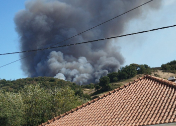 Incêndio leva ao corte da N8 entre Torres Vedras e Malveira
