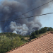 Incêndio leva ao corte da N8 entre Torres Vedras e Malveira