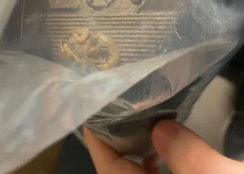 Vídeo: Jovem encontra escorpião chinês dentro de encomenda da Shein