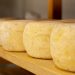 World Cheese Awards 2024: O melhor queijo do Mundo é português