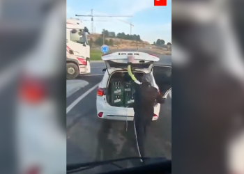 Vídeo: Casal rouba grades de cerveja de camião que teve um acidente em Espanha