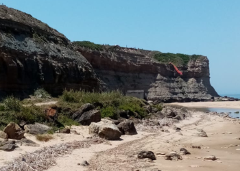 Queda de parapente na Foz do Sizandro