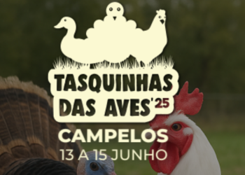 4ª Edição das Tasquinhas das Aves regressam aos Campelos