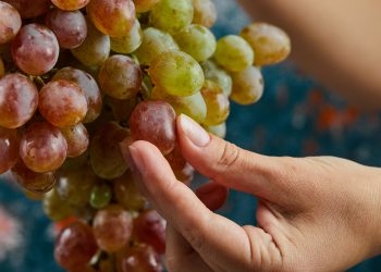 Nova tendência: Uvas com sabor a algodão doce e manga