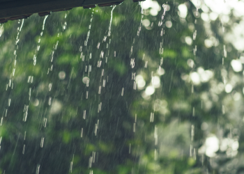Temperaturas baixas e chuva estão de regresso no domingo