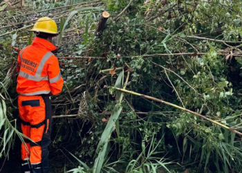 Bombeiros de Torres Vedras registam dezenas de ocorrências devido ao mau tempo