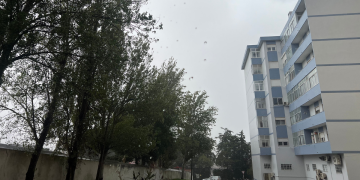 Depressão Cláudia: Proteção Civil contabilizou dois mortos, cinco deslocados e 918 ocorrências